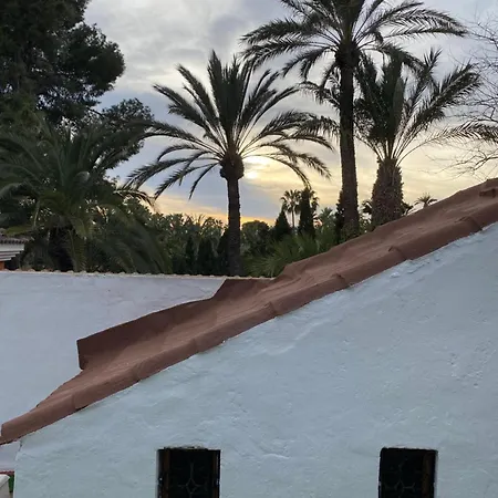 Pink Lemon House Elche