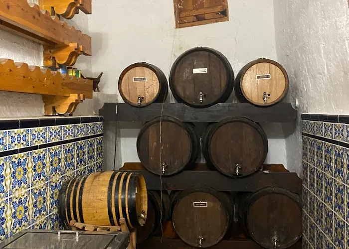 Bed & Breakfast Pink Lemon House Elx