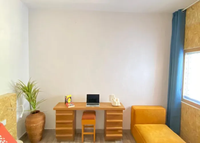 Pink Lemon House Elx