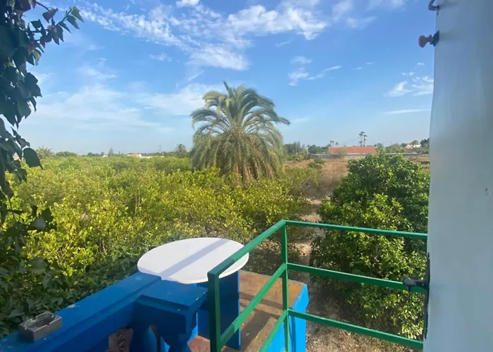 Pink Lemon House Bed & Breakfast