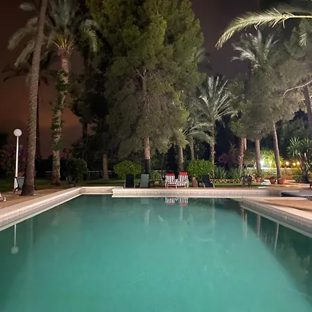 Bed & Breakfast Pink Lemon House Elche