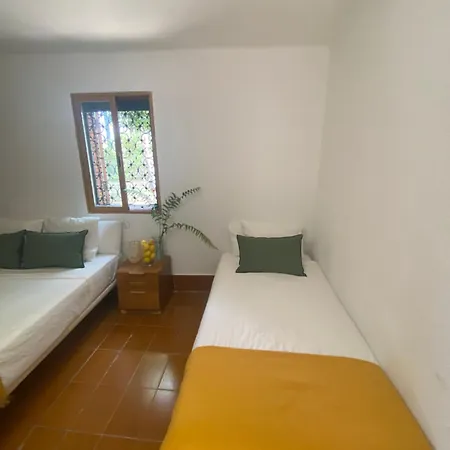 Pink Lemon House Bed & Breakfast *