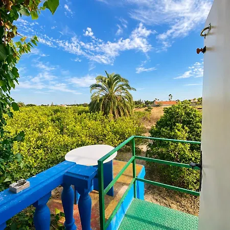 Pink Lemon House Bed & Breakfast Elche