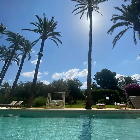 Pink Lemon House Elx