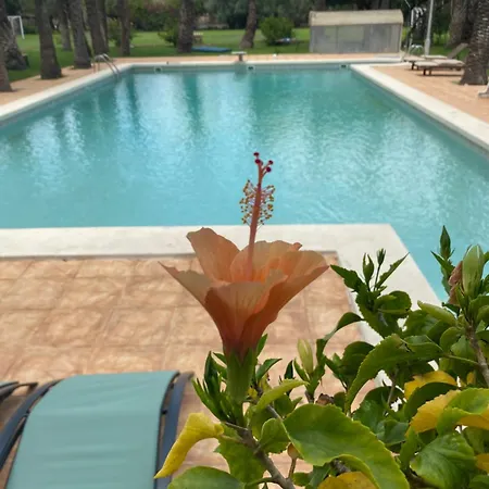 Nocleg ze śniadaniem Pink Lemon House