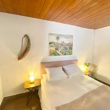 Pink Lemon House Elx