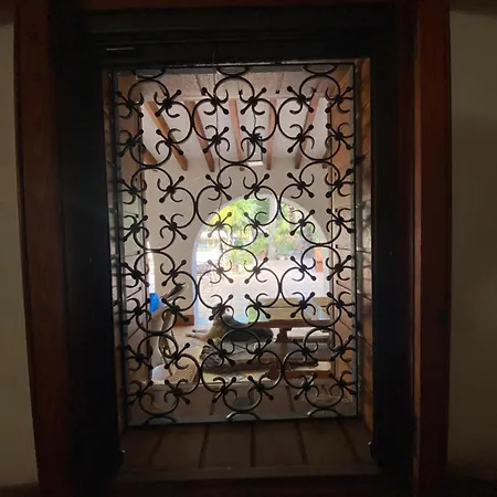 Pink Lemon House * Elx