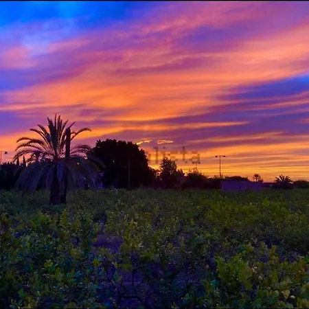 Pink Lemon House Nocleg ze śniadaniem Elx
