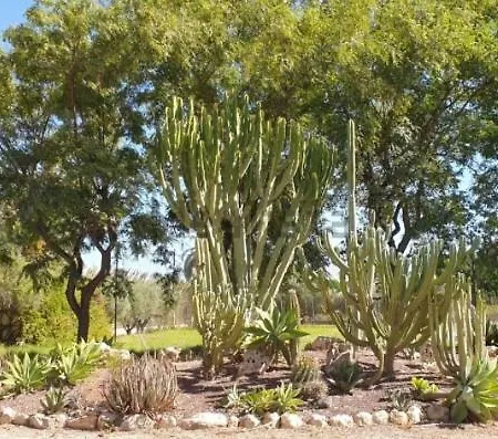 Pink Lemon House Nocleg ze śniadaniem *