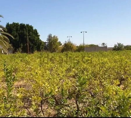 Pink Lemon House Nocleg ze śniadaniem *