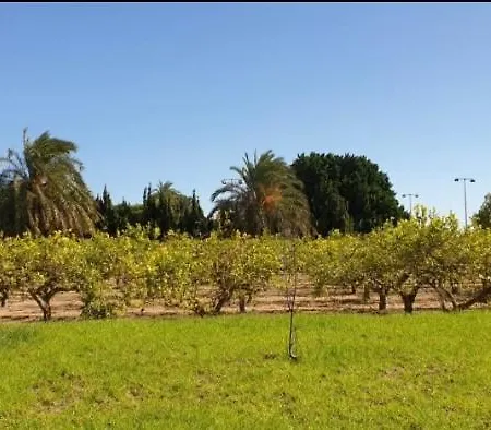 Nocleg ze śniadaniem Pink Lemon House *