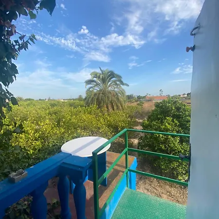 Pink Lemon House Bed & Breakfast